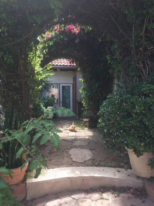 B&B Oui Madame Тихуана Номер фото