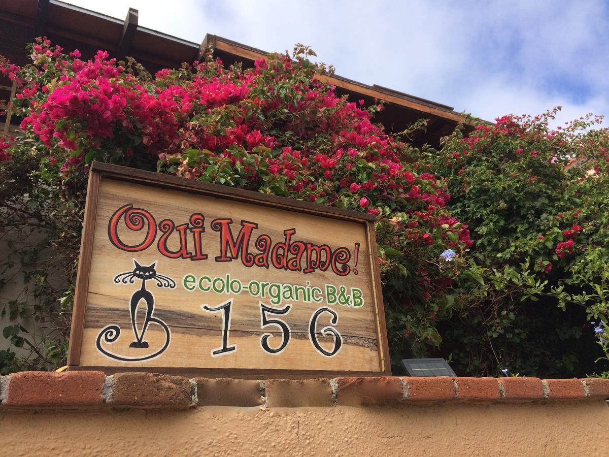 B&B Oui Madame Тихуана Экстерьер фото